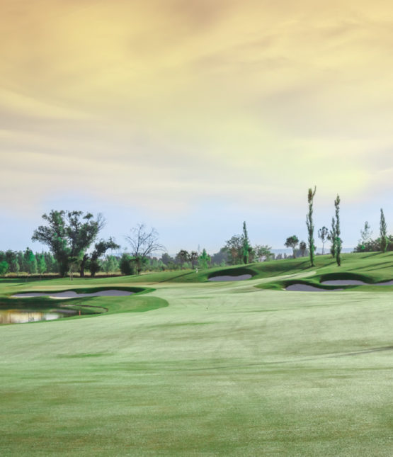 Real Club La Moraleja Campo3-4